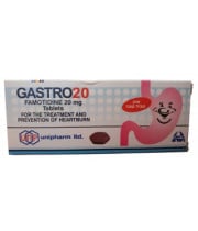 גאסטרו 20 Gastro